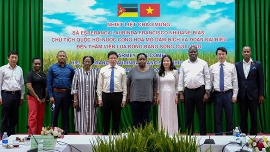 Mozambican guests visit Mekong Delta rice research institute